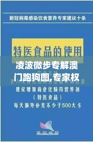 凌波微步專解澳門跑狗圖,專家權威解答_效率版XJY1.19