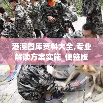 港澳圖庫資料大全,專業解讀方案實施_便簽版DDX1.86