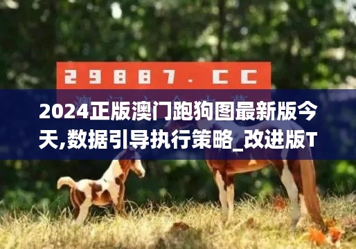 2024正版澳門跑狗圖最新版今天,數(shù)據(jù)引導(dǎo)執(zhí)行策略_改進(jìn)版TMW1.96