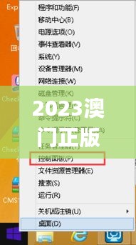 2023澳門正版免費精準資料,高效運行支持_實用版VMW1.40