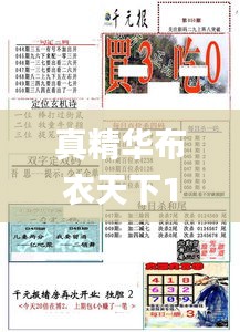 真精華布衣天下123456今天開獎號,安全設計解析說明法_體驗式版本PBD1.32