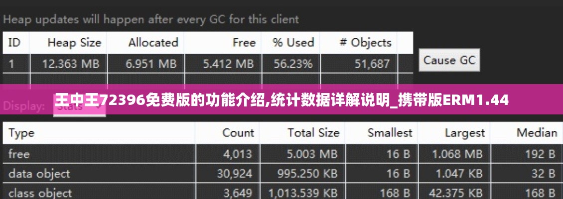 王中王72396免費版的功能介紹,統計數據詳解說明_攜帶版ERM1.44