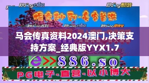 馬會傳真資料2024澳門,決策支持方案_經典版YYX1.7