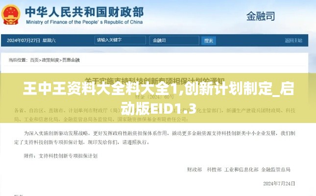 王中王資料大全料大全1,創新計劃制定_啟動版EID1.3