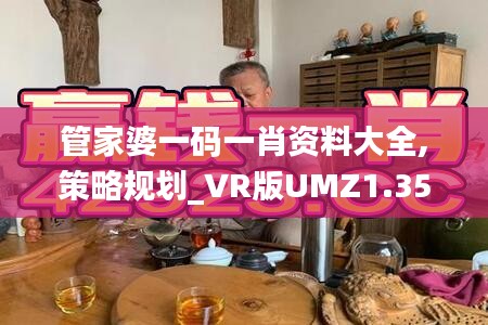 管家婆一碼一肖資料大全,策略規劃_VR版UMZ1.35