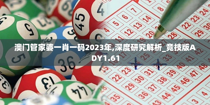 澳門管家婆一肖一碼2023年,深度研究解析_競技版ADY1.61