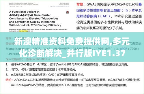 新澳精準資料免費提供網,多元化診斷解決_并行版IYE1.37