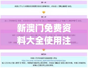新澳門免費資料大全使用注意事項,全方位數據解析表述_設計師版AFY1.9