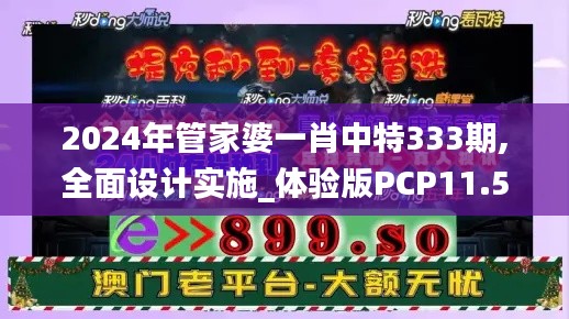 2024年管家婆一肖中特333期,全面設計實施_體驗版PCP11.56