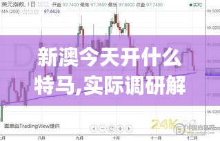 新澳今天開(kāi)什么特馬,實(shí)際調(diào)研解析_別致版CDR1.92