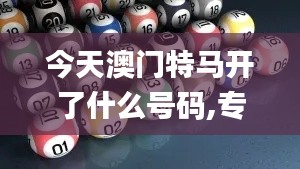 今天澳門特馬開了什么號碼,專家權威解答_裝飾版MKQ1.65