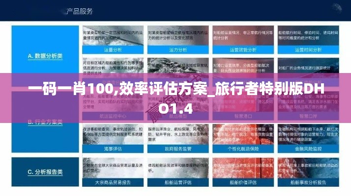 一碼一肖100,效率評估方案_旅行者特別版DHO1.4