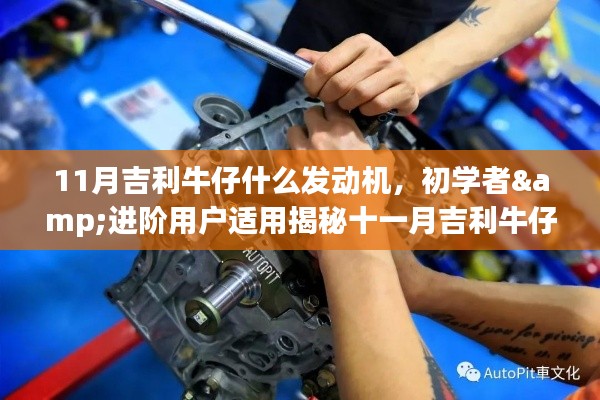揭秘十一月吉利牛仔發(fā)動機，從初學(xué)者到進階用戶的安裝與操作指南