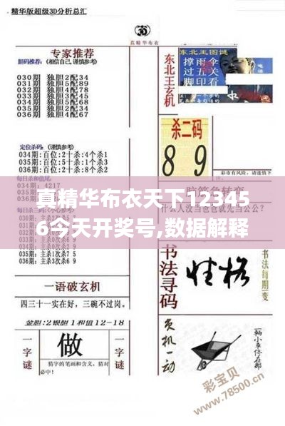 真精華布衣天下123456今天開獎號,數據解釋說明規劃_車載版MPA1.22