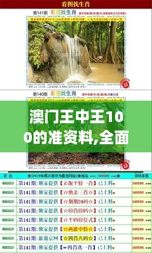 澳門王中王100的準資料,全面性解釋說明_游戲版EZT1.67