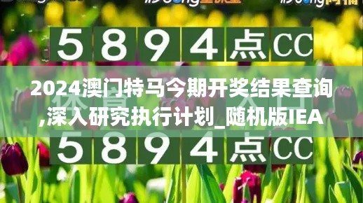 2024澳門特馬今期開獎結果查詢,深入研究執行計劃_隨機版IEA1.83