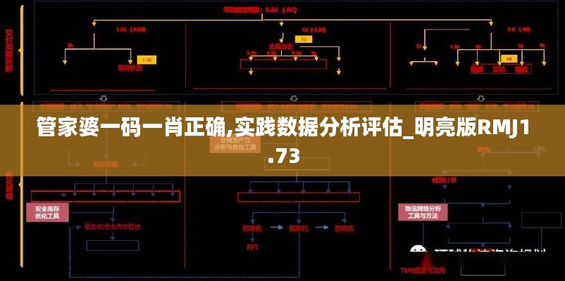 管家婆一碼一肖正確,實踐數據分析評估_明亮版RMJ1.73