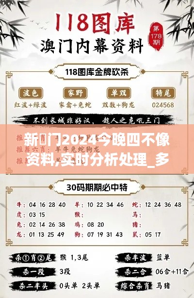 新澚門2024今晚四不像資料,實時分析處理_多媒體版VPU1.69