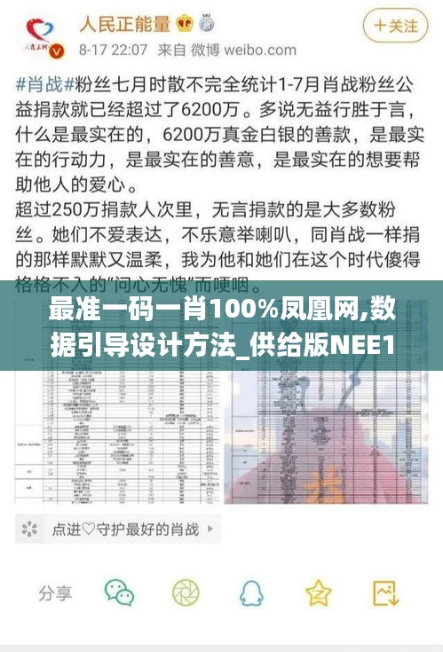 最準一碼一肖100%鳳凰網,數據引導設計方法_供給版NEE1.85
