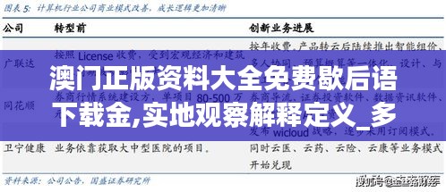 澳門正版資料大全免費歇后語下載金,實地觀察解釋定義_多維版BKG1.69