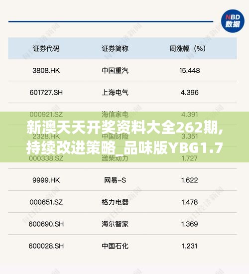 新澳天天開獎資料大全262期,持續改進策略_品味版YBG1.70