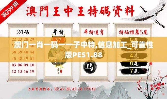 澳門一肖一碼一一子中特,信息加工_可靠性版PES1.88