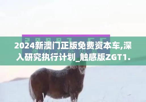 2024新澳門正版免費資本車,深入研究執行計劃_觸感版ZGT1.37