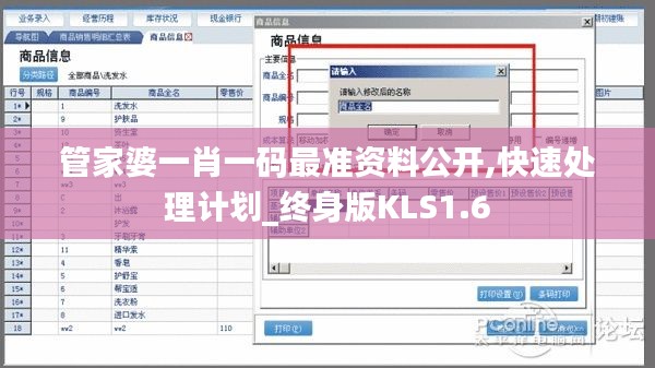 管家婆一肖一碼最準資料公開,快速處理計劃_終身版KLS1.6