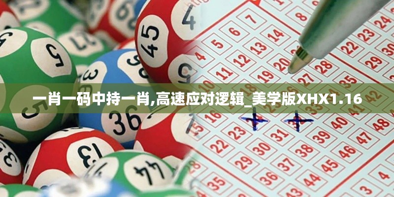 一肖一碼中持一肖,高速應對邏輯_美學版XHX1.16