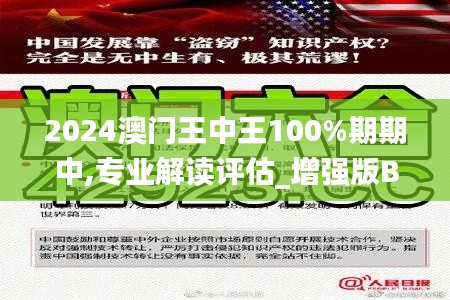 2024澳門王中王100%期期中,專業解讀評估_增強版BSE1.33