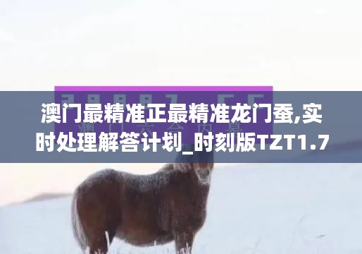 澳門最精準(zhǔn)正最精準(zhǔn)龍門蠶,實(shí)時(shí)處理解答計(jì)劃_時(shí)刻版TZT1.7