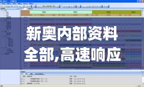 新奧內部資料全部,高速響應計劃執行_1440pLSJ1.64