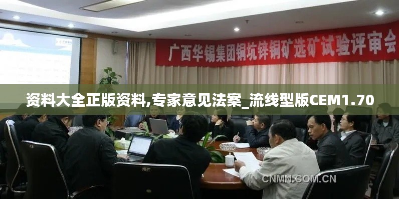 資料大全正版資料,專家意見法案_流線型版CEM1.70