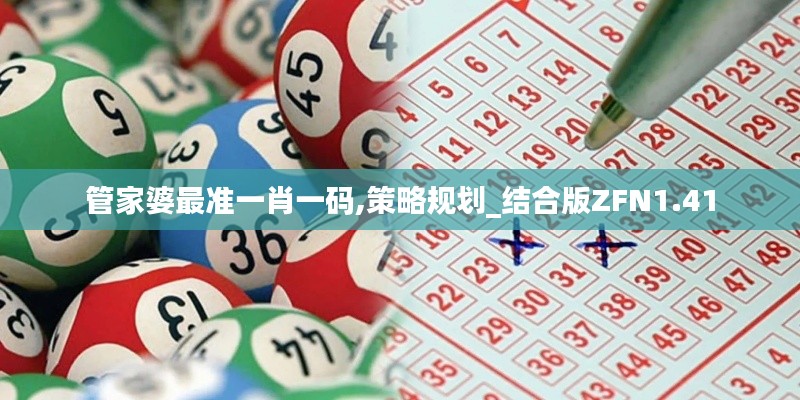 管家婆最準一肖一碼,策略規劃_結合版ZFN1.41