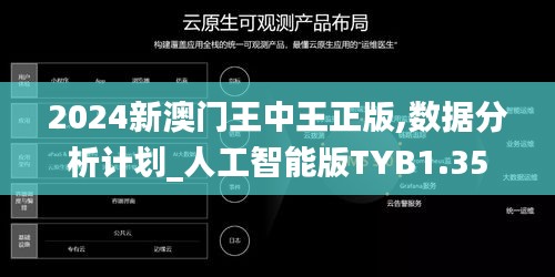 2024新澳門王中王正版,數據分析計劃_人工智能版TYB1.35