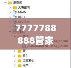 7777788888管家婆老家,實時數據分析_旅行助手版ESI1.45