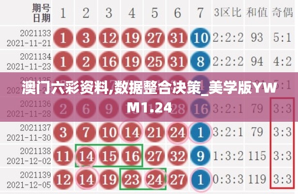 澳門六彩資料,數據整合決策_美學版YWM1.24