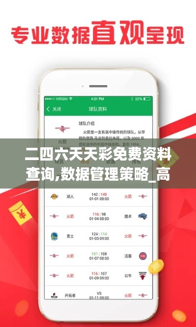 二四六天天彩免費資料查詢,數據管理策略_高速版VOG1.53