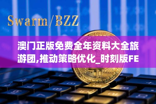 澳門正版免費全年資料大全旅游團,推動策略優(yōu)化_時刻版FEX1.12