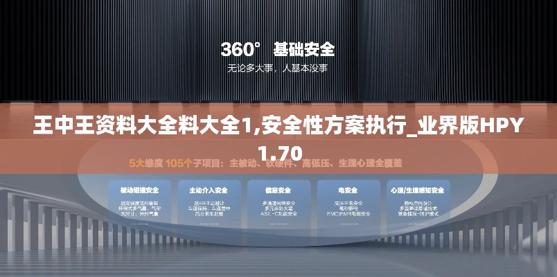 王中王資料大全料大全1,安全性方案執行_業界版HPY1.70