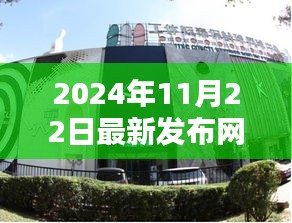 網魚最新動態發布，聚焦網魚新動向，洞悉行業趨勢（2024年11月22日）