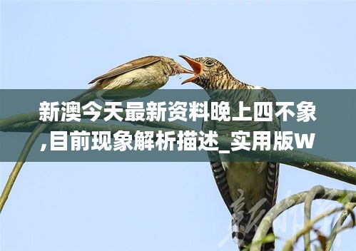新澳今天最新資料晚上四不象,目前現象解析描述_實用版WEC1.78