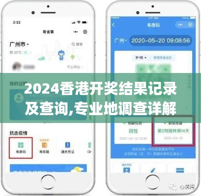 2024香港開獎結果記錄及查詢,專業地調查詳解_裝飾版OWX1.18