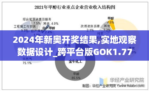 2024年新奧開獎結果,實地觀察數據設計_跨平臺版GOK1.77