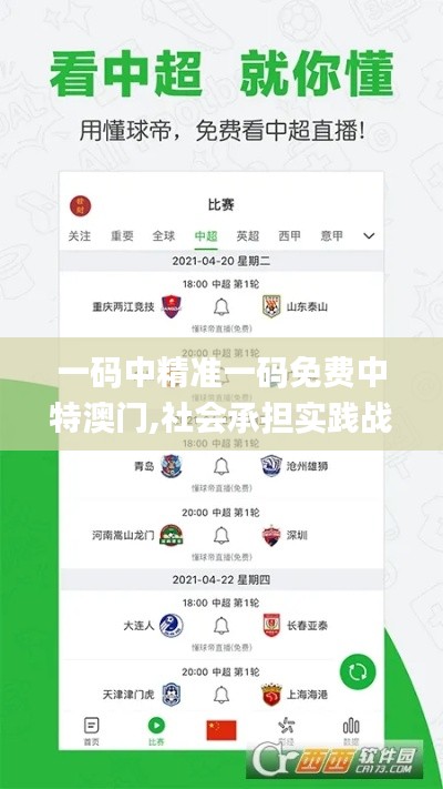 一碼中精準一碼免費中特澳門,社會承擔實踐戰略_輕量版GRZ1.94