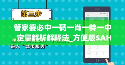 管家婆必中一碼一肖一特一中,定量解析解釋法_方便版SAH1.46