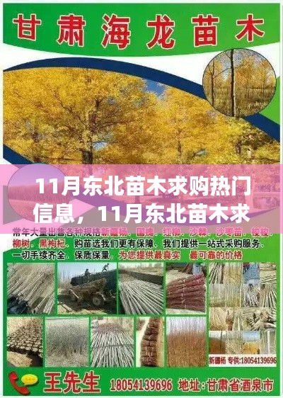 11月東北苗木求購熱潮，學習變化，自信成長，與綠色共舞的時代