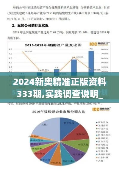2024新奧精準正版資料333期,實踐調查說明_安全版CUR11.11