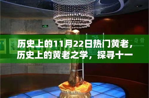 探尋黃老之學，歷史上的印記與十一月二十二日的回響