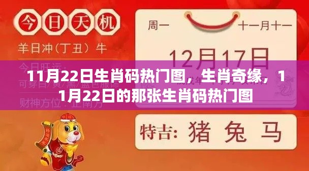 11月22日生肖碼熱門圖揭秘，生肖奇緣的奧秘